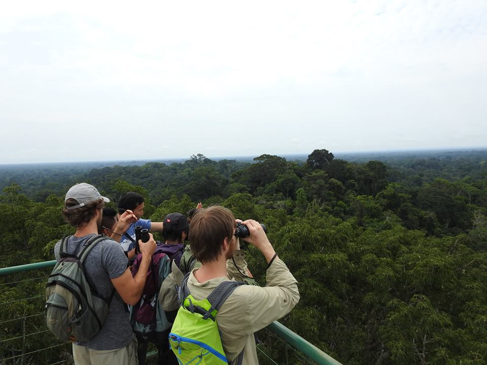 Ecuador Amazon Rainforest – Ecuador Eco Adventures